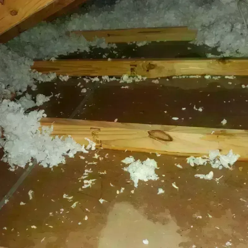 Attic Water Damage in Pottsville, PA